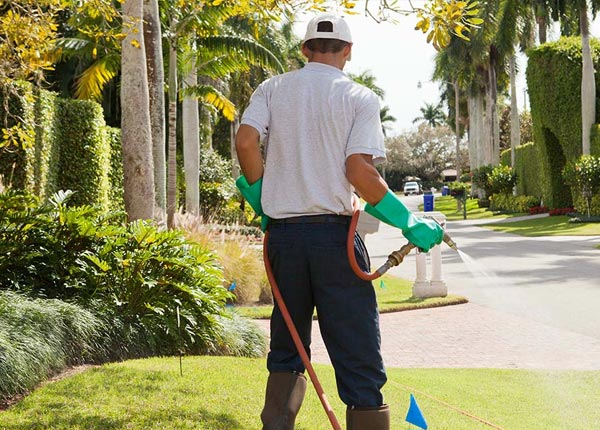 About Woodridge NY Pest Control